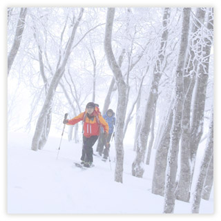 斑尾高原　バックカントリーツアー